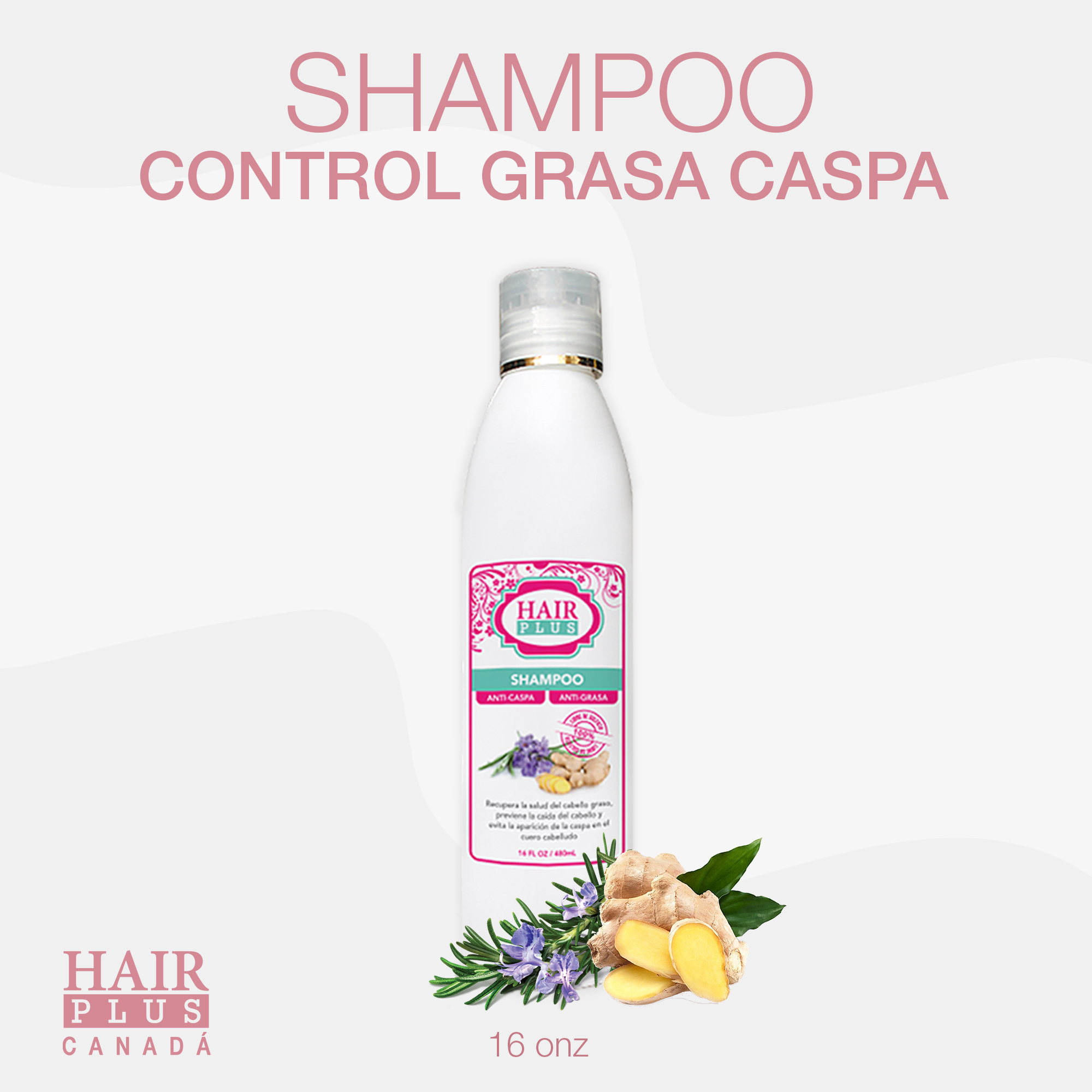 Shampoo Anti-caspa y Anti-grasa